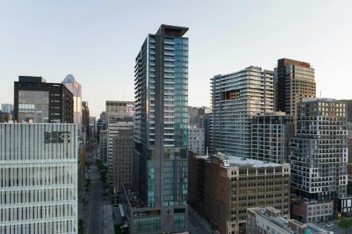 the honeyrose hotel montreal a tribute portfolio hotel