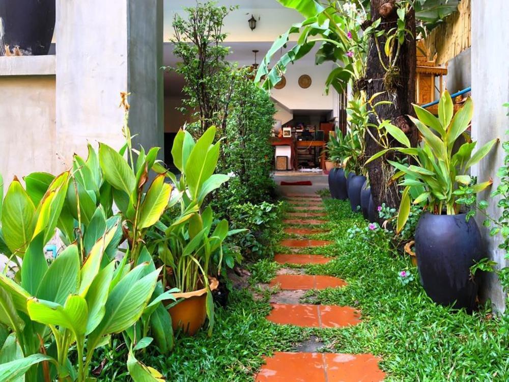 plumeria hotel and spa