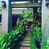 siem reap