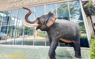 lucky elephant hotel