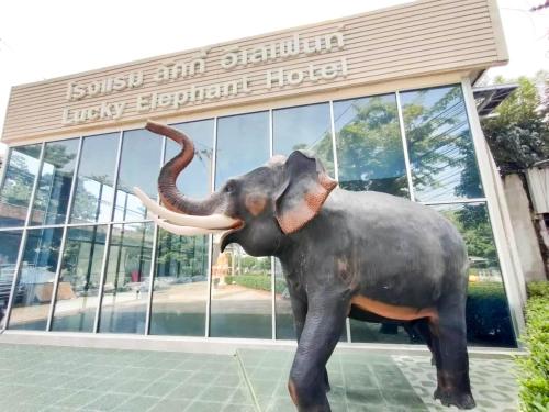 lucky elephant hotel