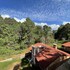 mazamitla
