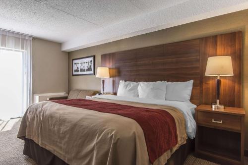 comfort inn