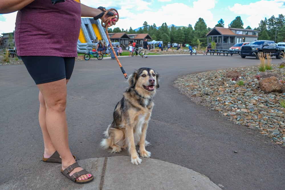 flagstaff