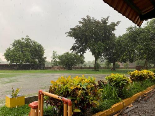 oyo 90770 wisma rima melati