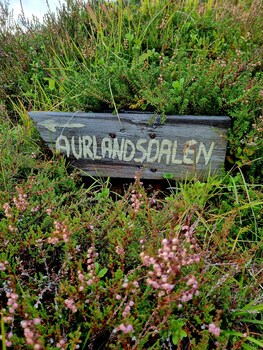 sterb fjellstove