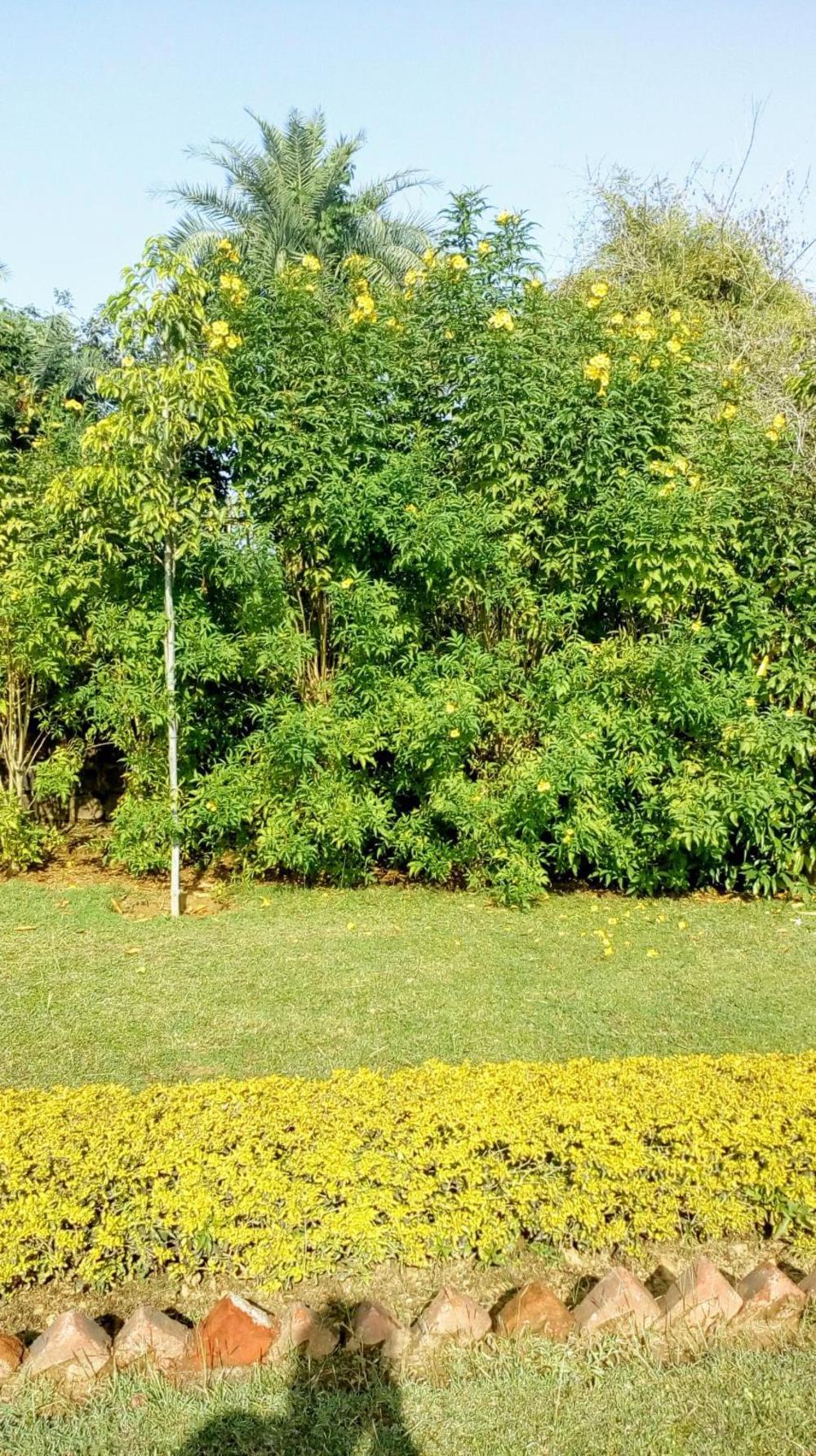 hotel plaza khajuraho