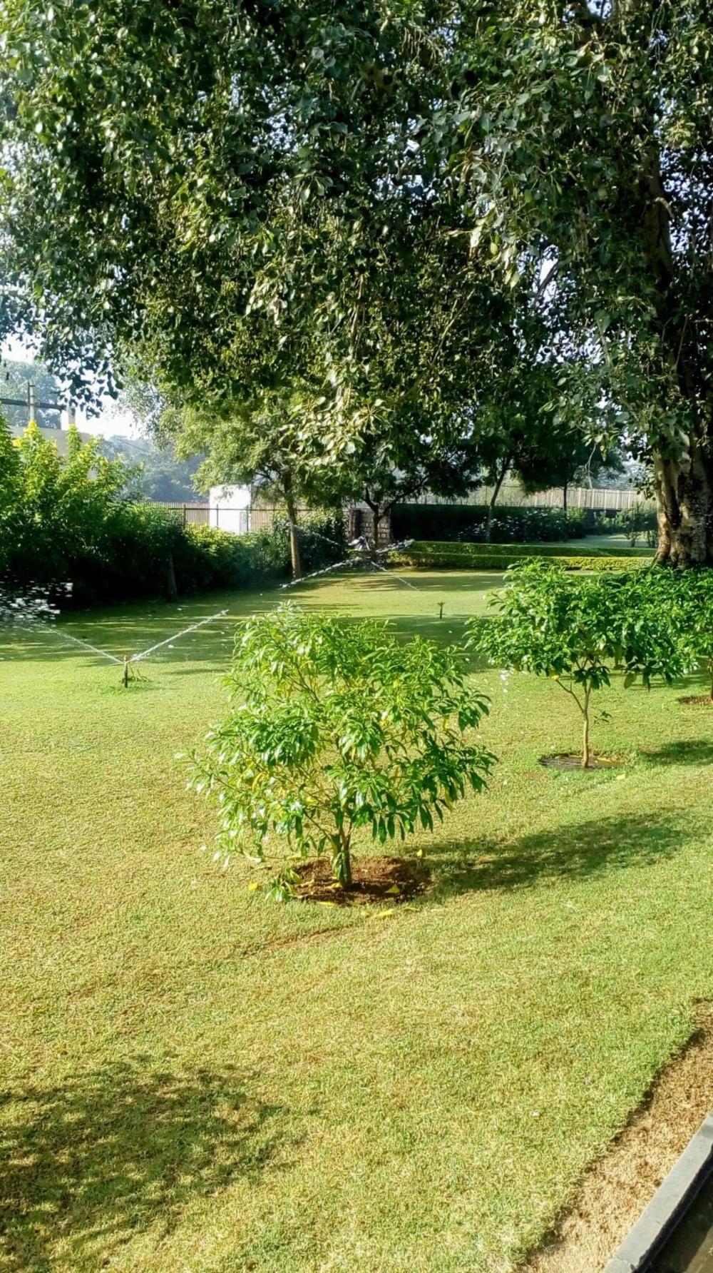 hotel plaza khajuraho