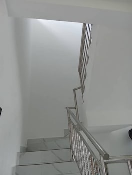 chichi luxurious zebra