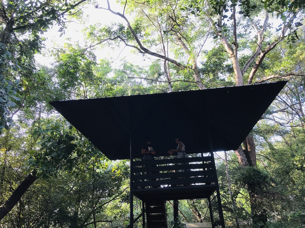 ceylon kingsmen garden