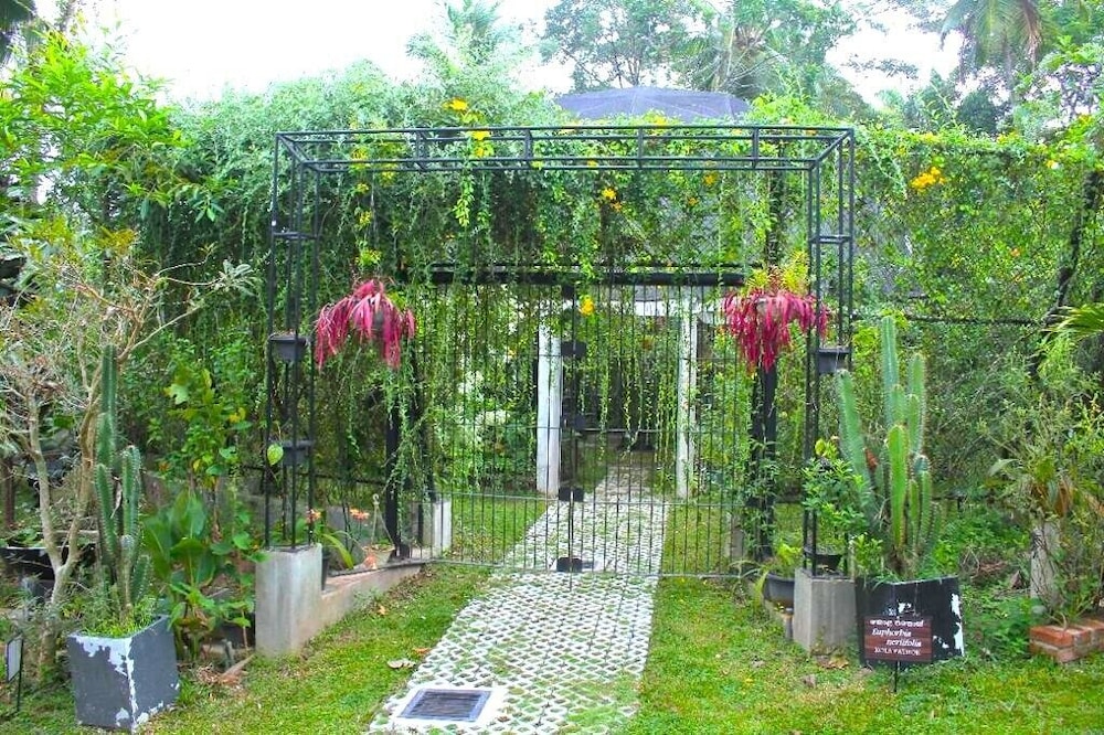 ceylon kingsmen garden