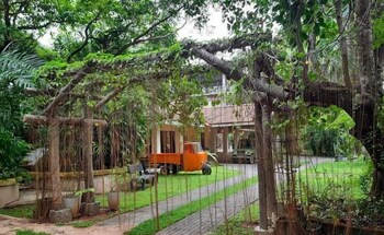 ceylon kingsmen garden