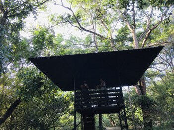 ceylon kingsmen garden