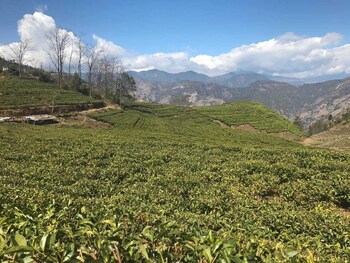 prakriti resort and organic farm