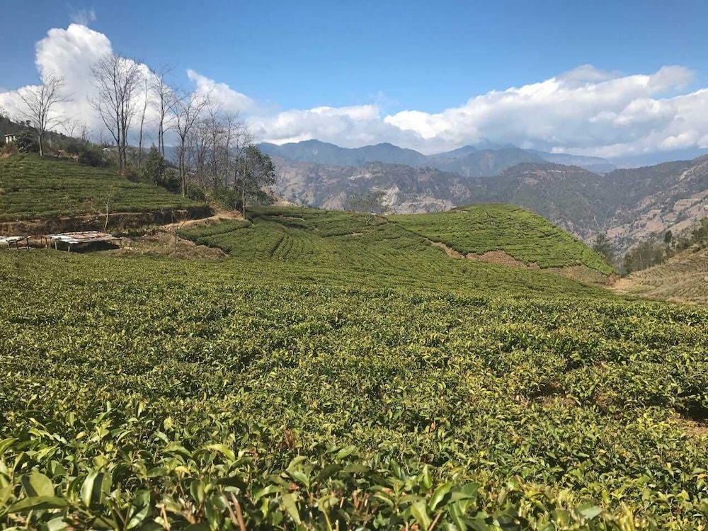 prakriti resort and organic farm
