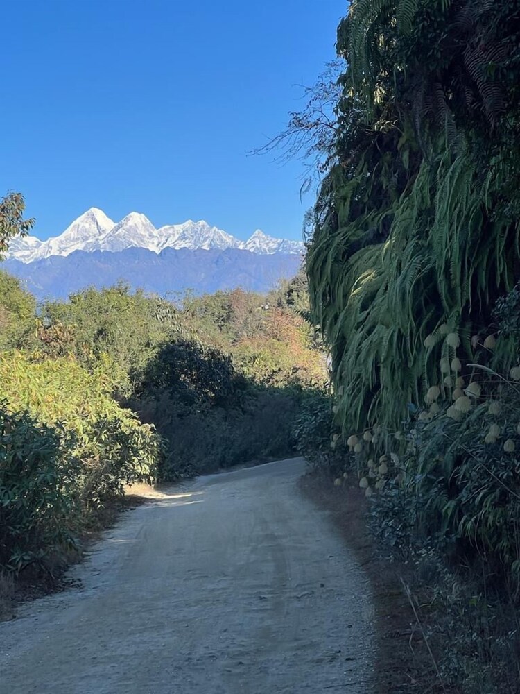 prakriti resort and organic farm
