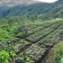 prakriti resort and organic farm