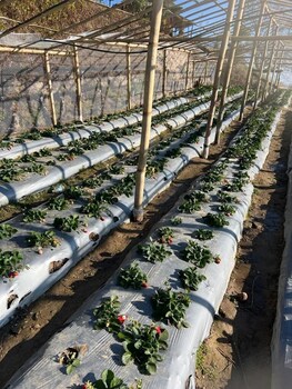 prakriti resort and organic farm
