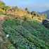 prakriti resort and organic farm