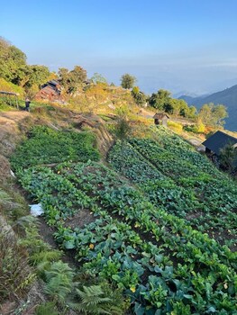 prakriti resort and organic farm