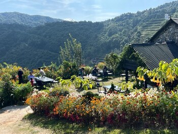 haibung