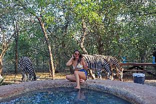 kruger park hostel
