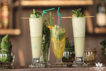 lotus club boutique hotel