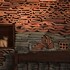 barbados cherry villa