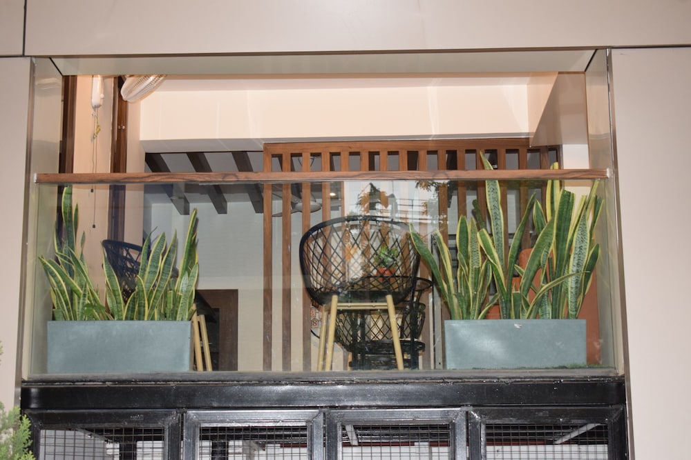 hotel new centro