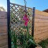 le cocon de lily