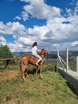 campos do jordao