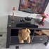 natol homestay riverbank suites