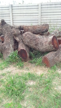 garden guest house bed and bre chitungwiza