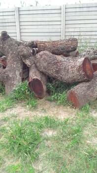 garden guest house bed and bre chitungwiza