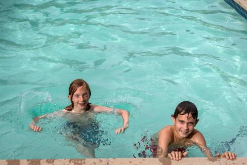 bear creek lodge by alpine lodging telluride