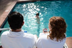bear creek lodge by alpine lodging telluride