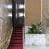notami living isola