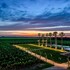 masseria torleanzi wine relais