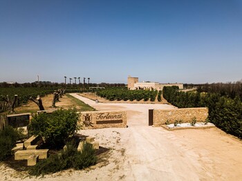masseria torleanzi wine relais