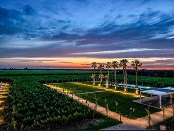 masseria torleanzi wine relais