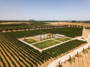 masseria torleanzi wine relais
