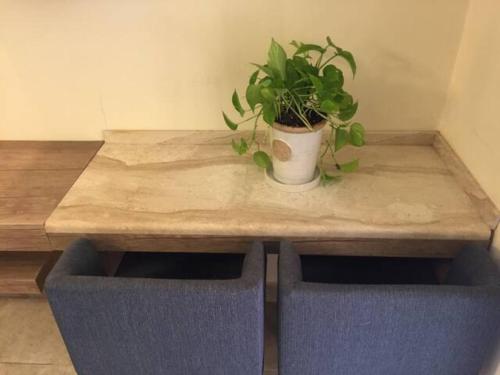 the royal luxury queen terrace 1