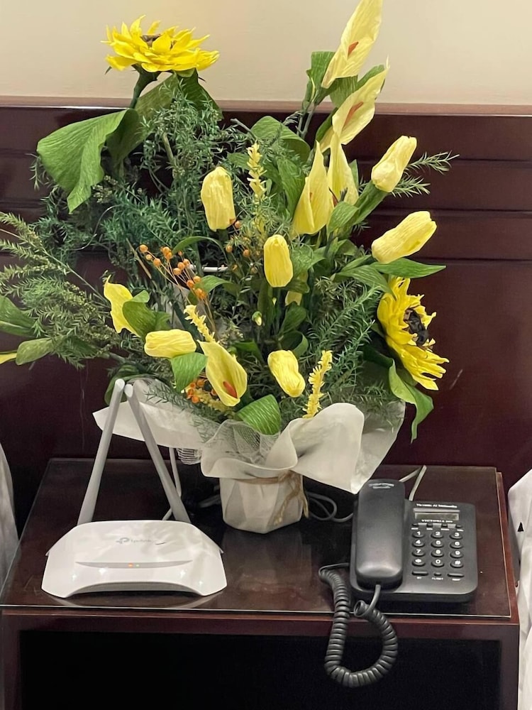 jewel grand museum pyramids view