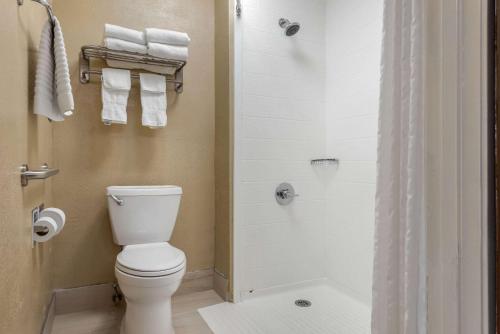 comfort inn south
