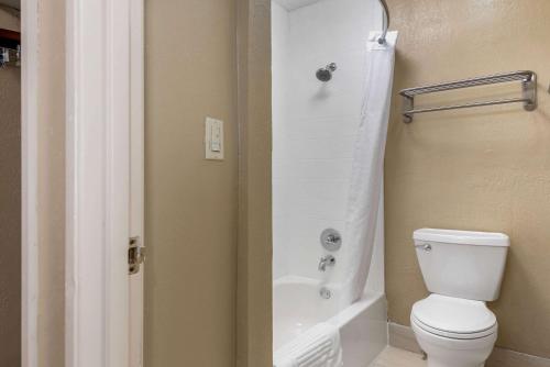 comfort inn south