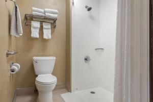 comfort inn south