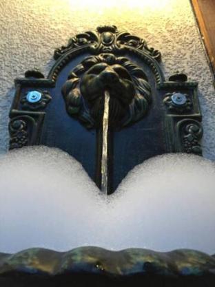 the royal luxury lion patio