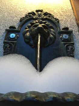 the royal luxury lion patio