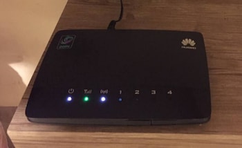 the royal luxury lion patio