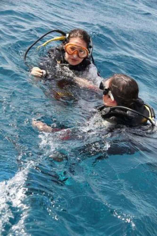 the royal luxury lion patio